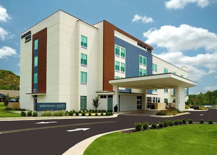 Springhill Suites By Marriott Ellijay