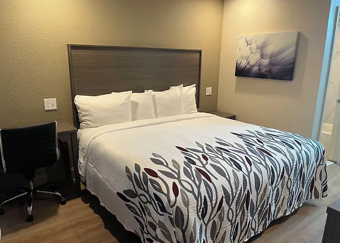 Red Roof Inn Haltom City