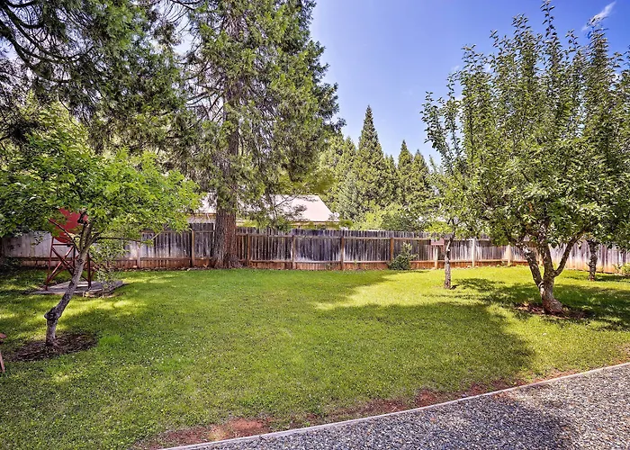 Cabin W/ Backyard Space - 1/2 Mi To Trinity Lake!
