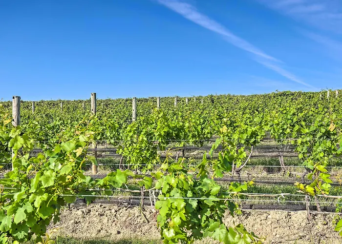 Finger Lakes Farm Retreat: Walk To Wineries!