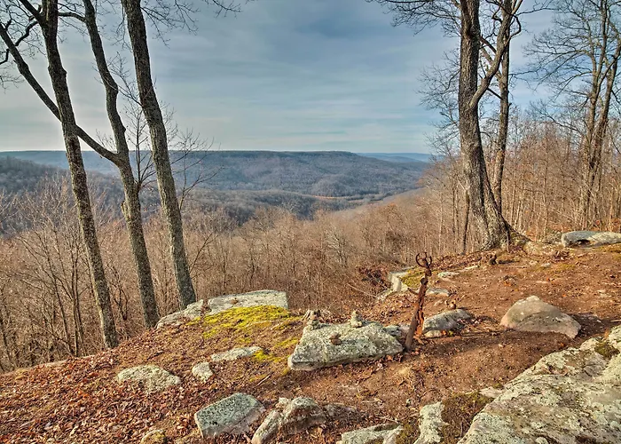 Cozy Cumberland Mountain Cabin W/ Stunning Views!