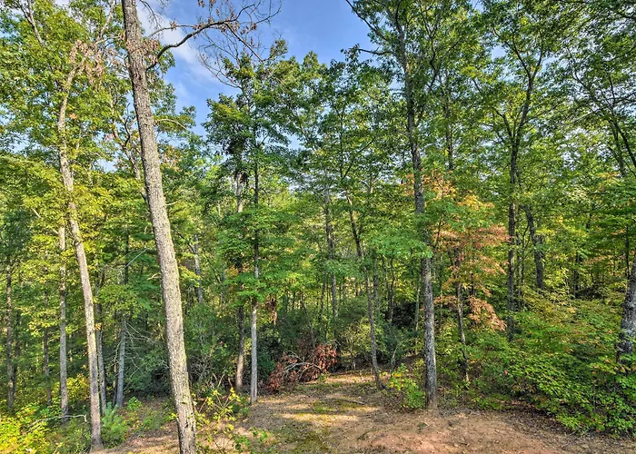 Secluded Cabin W/ Deck 13 Miles To Downtown Murphy