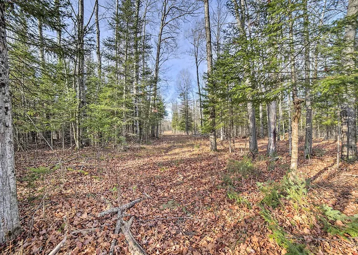 Cornell Home W/ Fire Pit & Hunting Access!