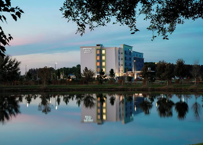 Springhill Suites By Marriott Tampa Suncoast Parkway