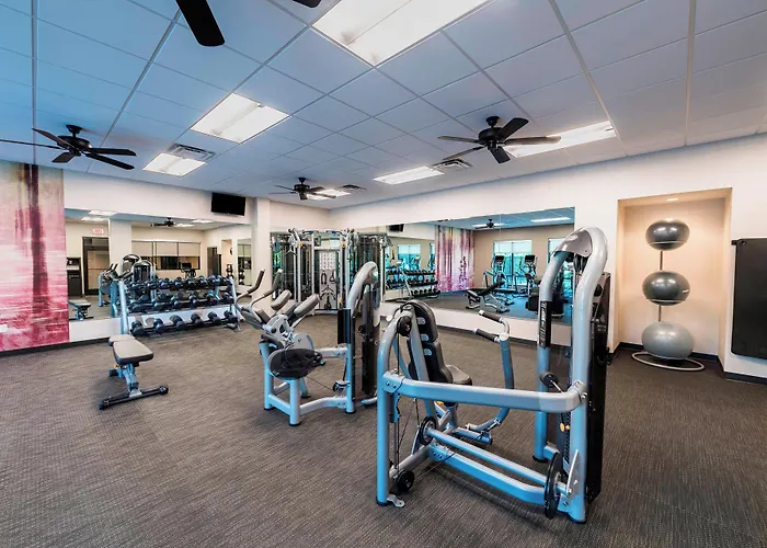 Courtyard By Marriott Tampa Northwest/Veterans Expressway