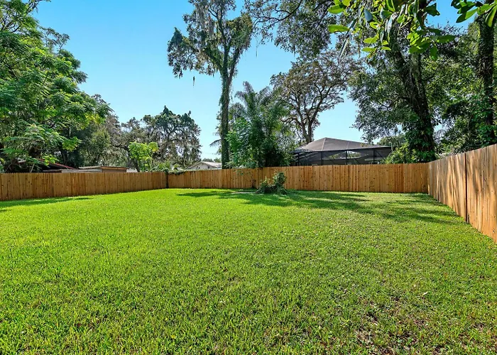 Renovated 3Br, Fenced Yard, Brandon Sleeps 8, 20 Min To Tampa, Monthly Ok