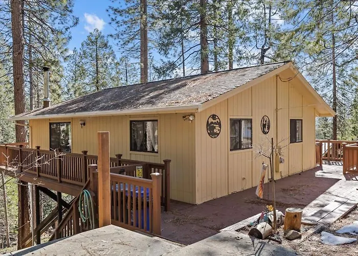 Big Trees, Little Cabin