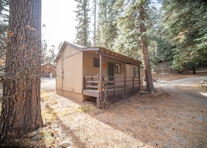 Bear Paw Lodge & Vacation Homes