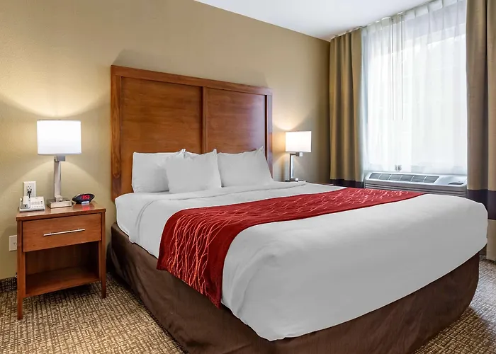 Comfort Inn & Suites Near Mt Rushmore