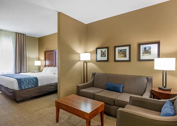 Comfort Inn & Suites Lynchburg Airport - University Area