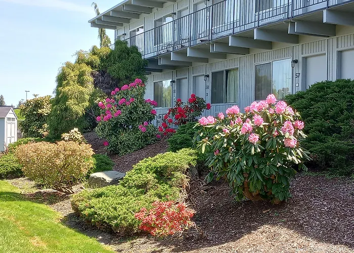 Cocusa Motel