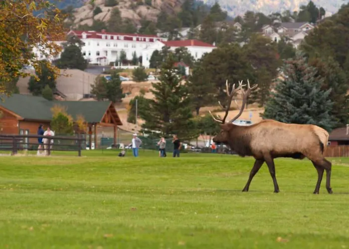 Alpine Trail Ridge Inn
