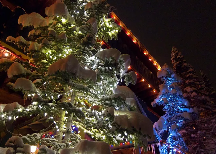 Chateau Apres Lodge