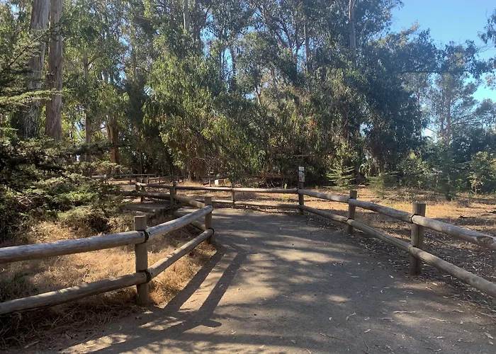 Dune Surfer Inn