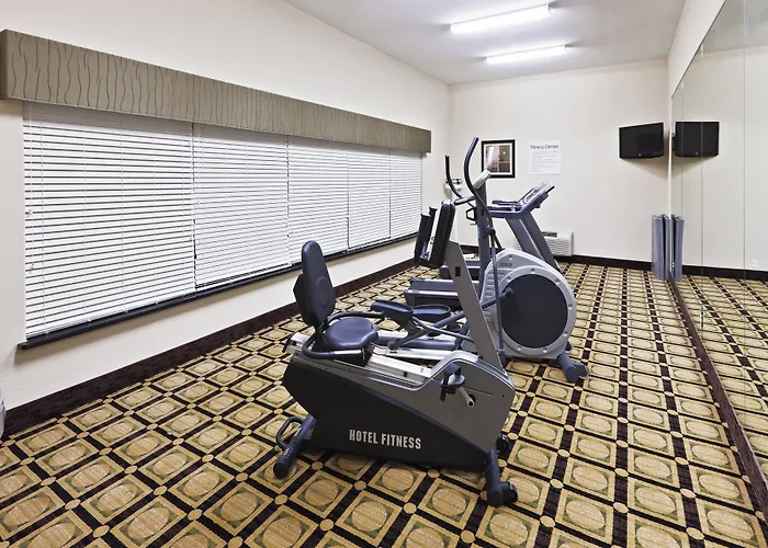 Holiday Inn Express & Suites Brownfield