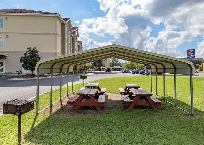 Comfort Inn Blackshear Hwy 84