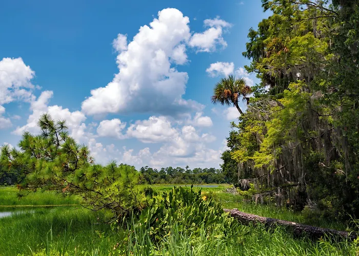 Holiday Inn Express And Suites Silver Springs - Ocala By Ihg