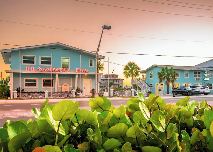 Flamingo Inn