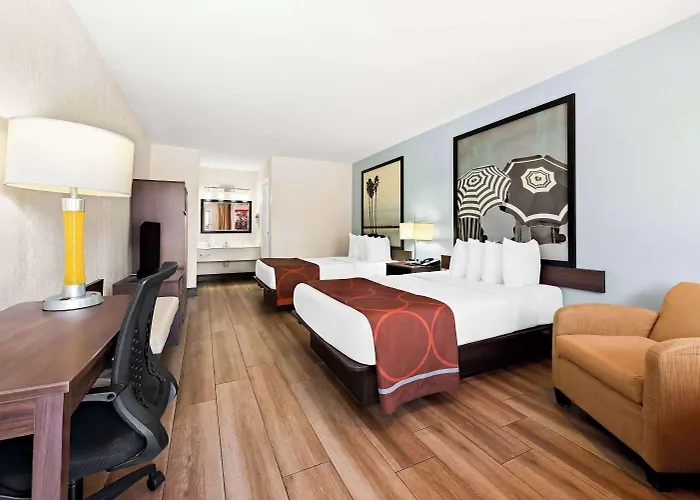 Super 8 By Wyndham Homestead Florida City Gateway To Keys
