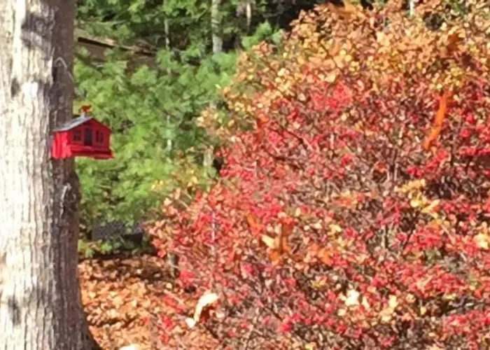 Mount Battie Inn