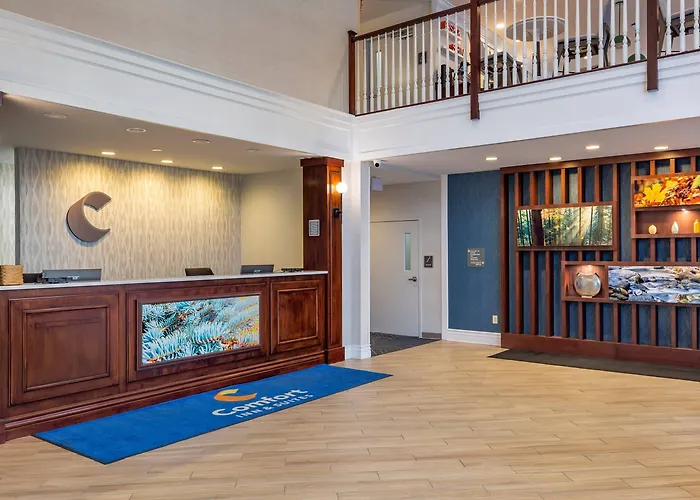 Comfort Inn & Suites East Greenbush - Albany