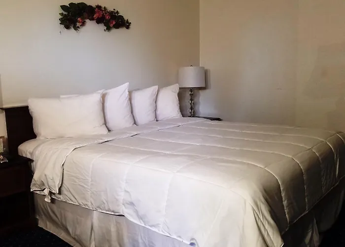 Stanford Motor Inn