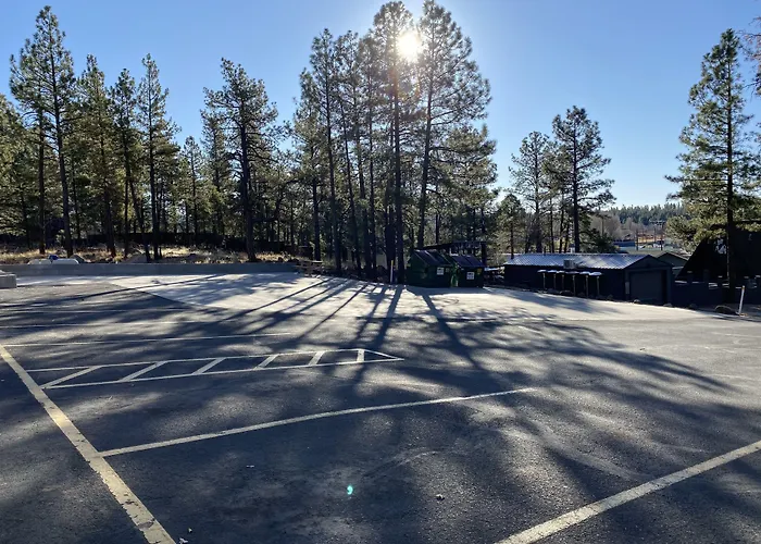 Motel In The Pines
