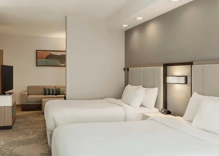 Springhill Suites By Marriott Frankenmuth