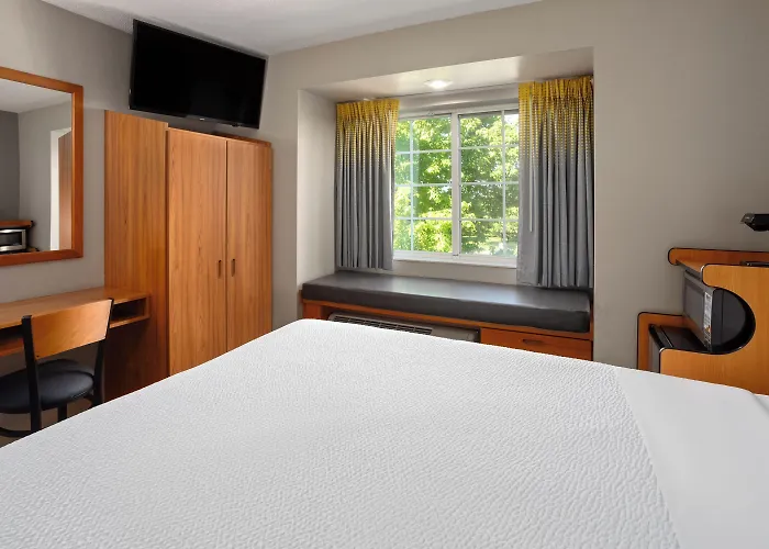 Microtel Inn & Suites By Wyndham Ann Arbor