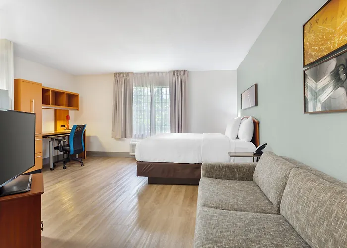 Mainstay Suites Tampa Moffitt-Usf