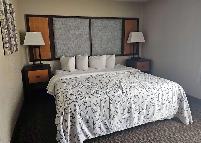 Americinn By Wyndham Birch Run - Frankenmuth