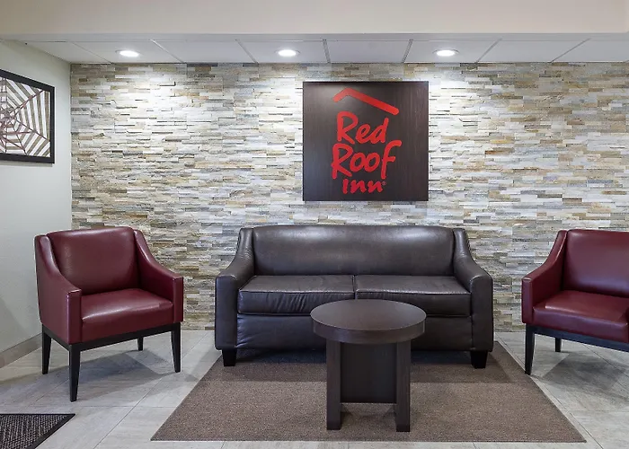 Red Roof Inn Tampa Bay - St. Petersburg