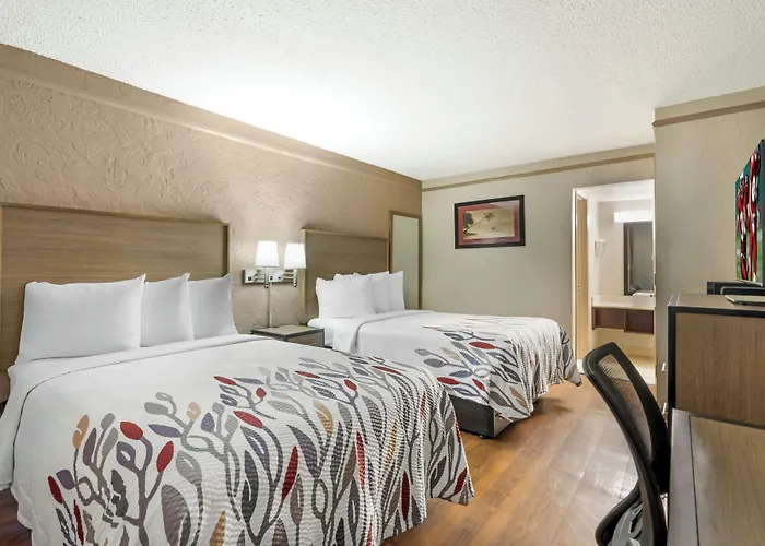 Red Roof Inn Tampa Bay - St. Petersburg