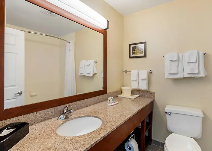 Comfort Suites Normal University Area