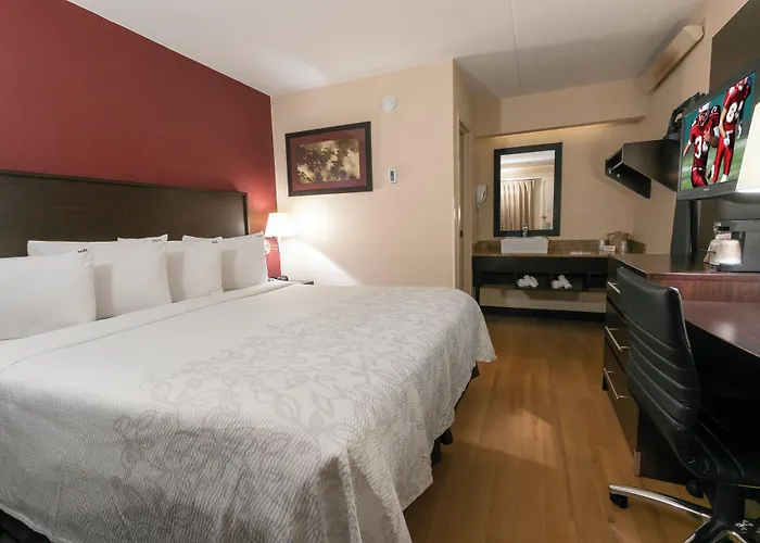 Red Roof Inn Plus+ University At Buffalo - Amherst