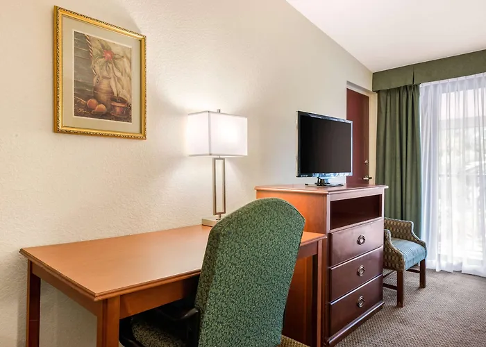 Quality Inn & Suites Tarpon Springs South