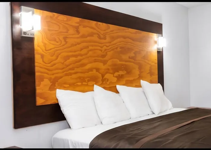 Hotel Lexihill