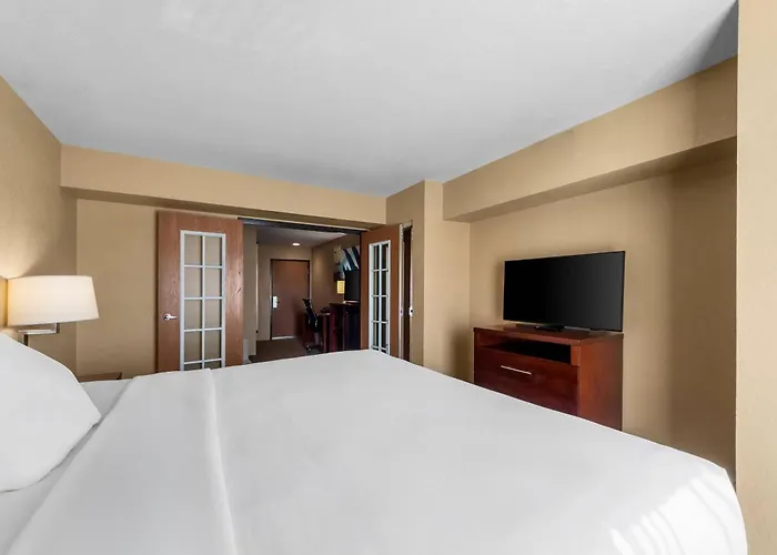 Comfort Suites San Antonio Seaworld - Lackland Afb