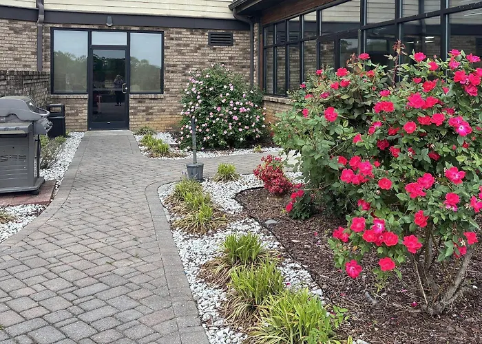 Comfort Inn & Suites Near Lake Guntersville