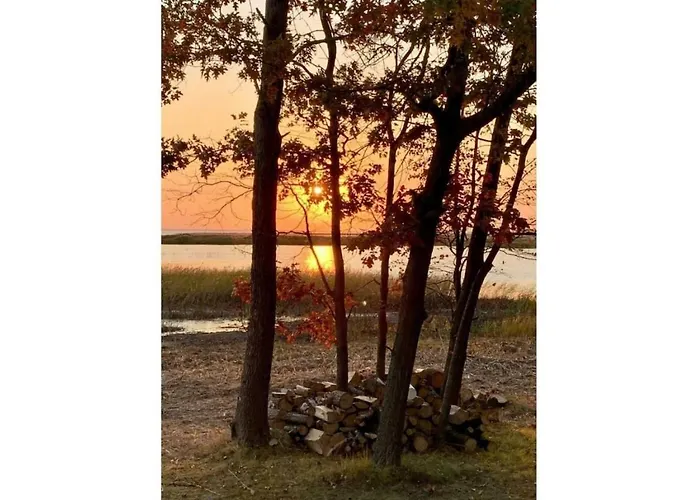 Lakeview & Wildlife