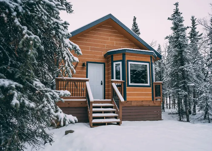 Denali Wild Stay - Redfox Cabin, Free Wifi, Private, Sleep 6