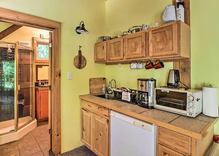 Pet-Friendly Leicester/Asheville Mtn View Escape