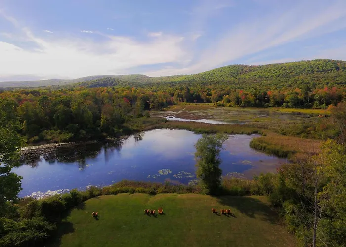 Hampton Inn & Suites Berkshires-Lenox