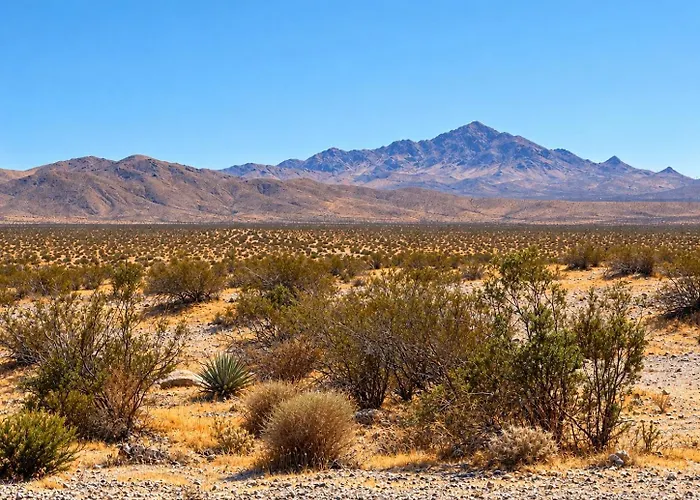 Mojave Desert Inn - Barstow I-15