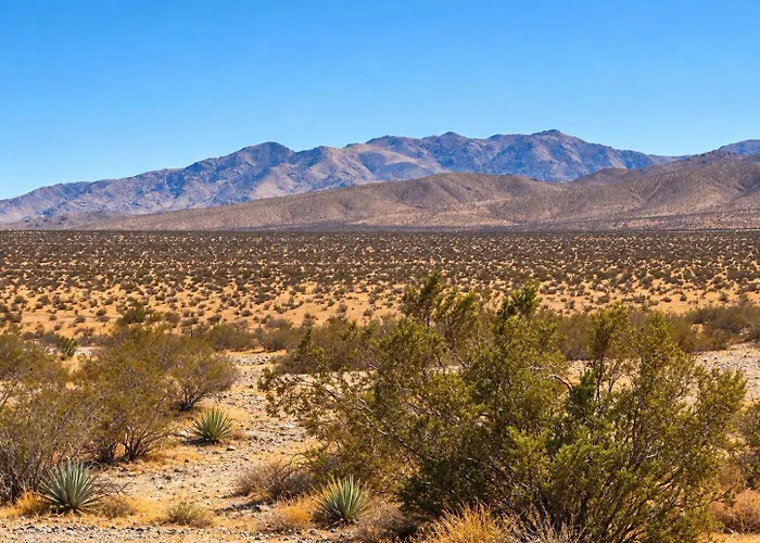 Mojave Desert Inn - Barstow I-15