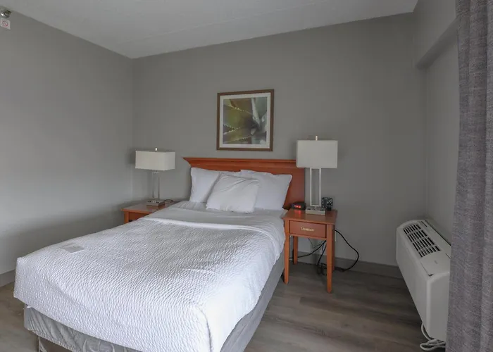 La Quinta By Wyndham New Haven