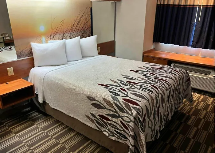 Red Roof Inn Port Charlotte - Punta Gorda