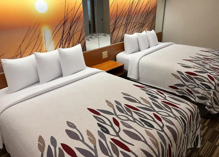 Red Roof Inn Port Charlotte - Punta Gorda
