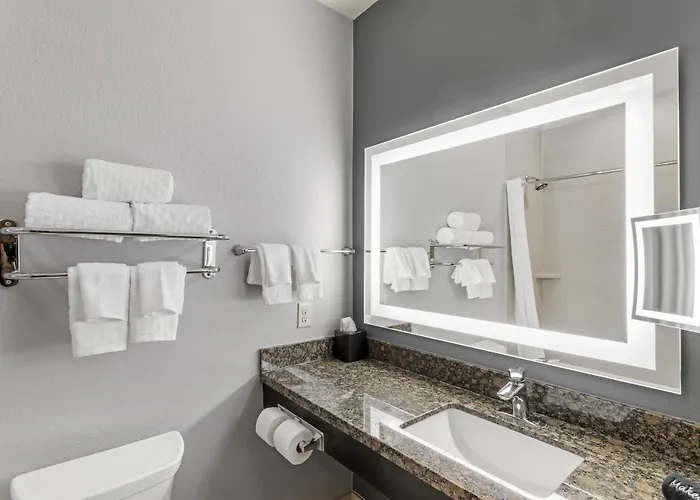 Best Western Plus Lake Jackson Inn & Suites