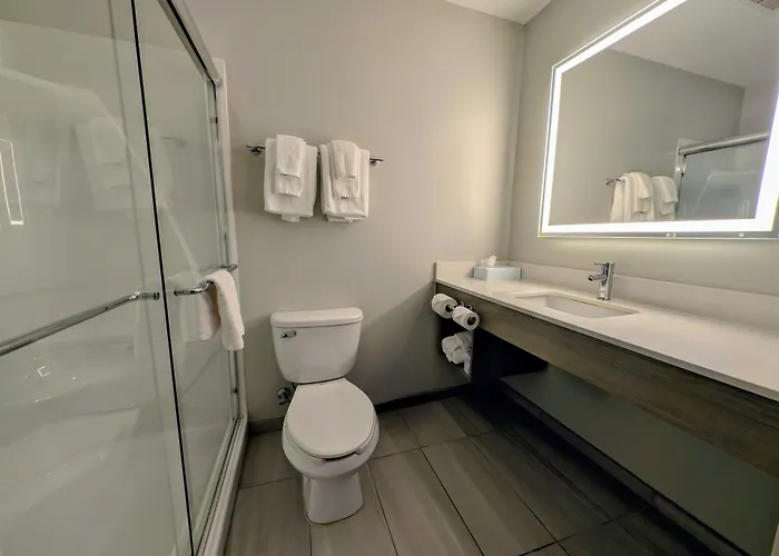 Holiday Inn Express & Suites Carbondale - University Area
